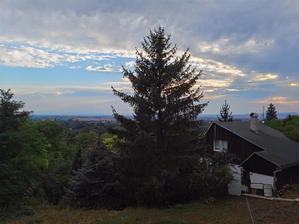 Ferienwohnung Sunset House Piestany Cervena Veza Banka Exterior foto